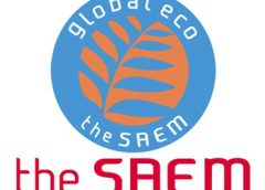 логотип The Saem